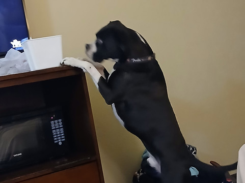 肯纳威克温德姆速8酒店主图