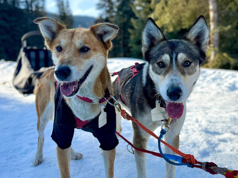 Mountain Man Adventure Tours-太阳峰必去景点