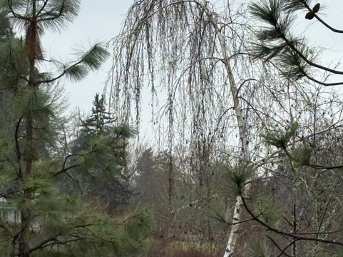 波特兰比弗顿凯悦嘉寓酒店主图