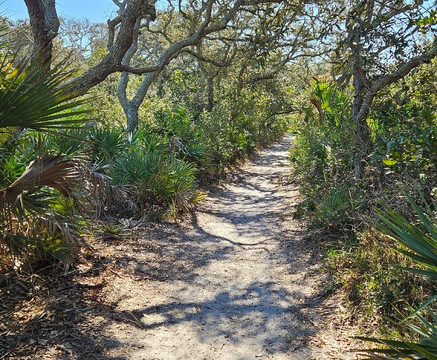 Bulow Creek State Park-奥蒙德海滩必去景点