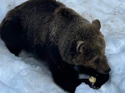 Juraparc-Vallorbe必去景点