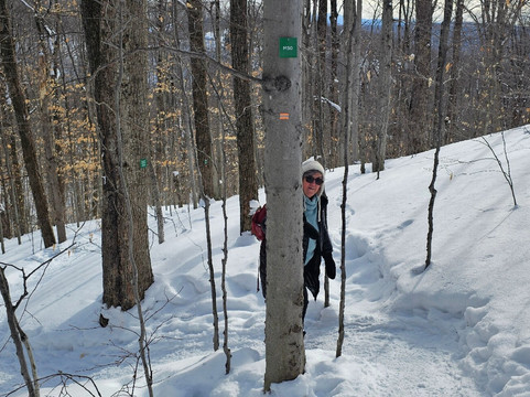 Parc des Sommets de Bromont