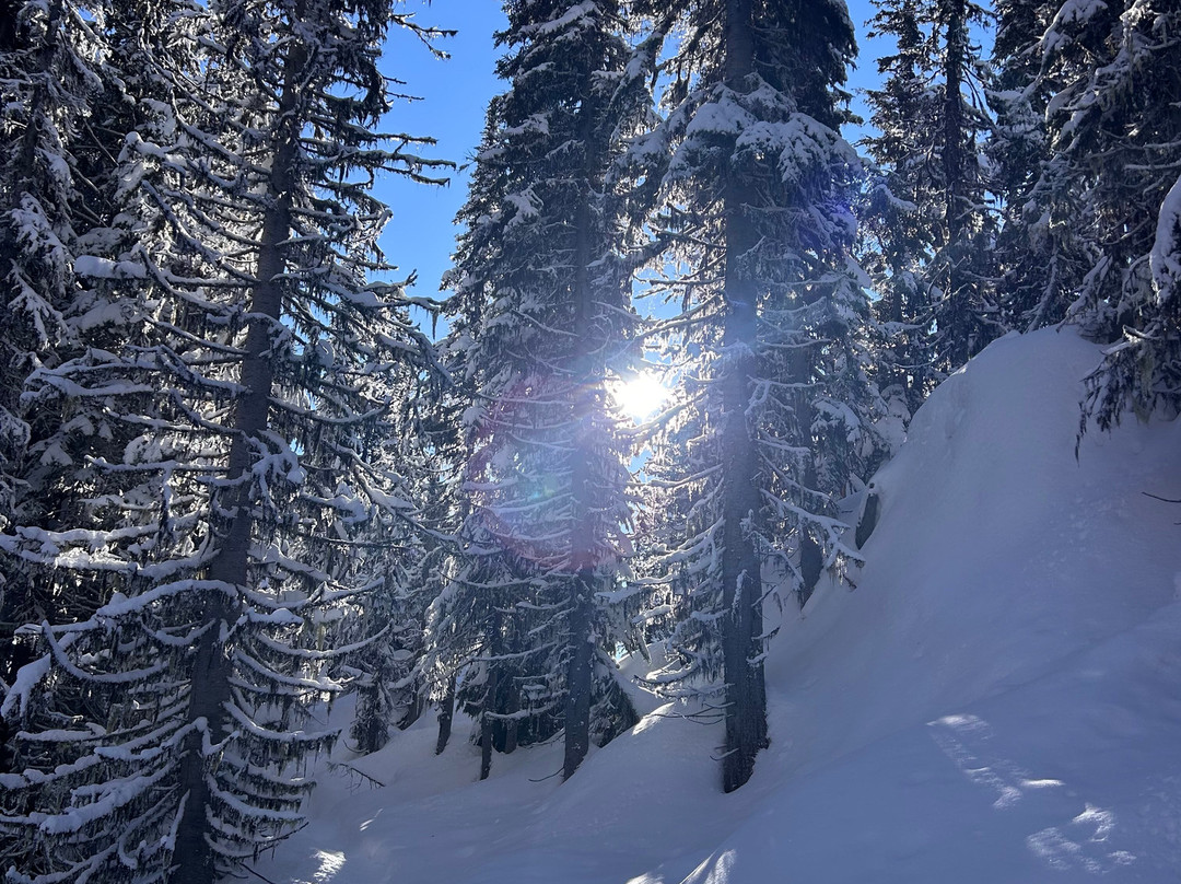 Revelstoke Snowshoe Company-雷夫尔斯托克必去景点