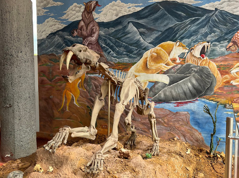 Centro de Investigaciones Paleontologicas - CIP-莱瓦镇必去景点