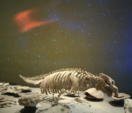 National Museum of Qatar-多哈必去景点