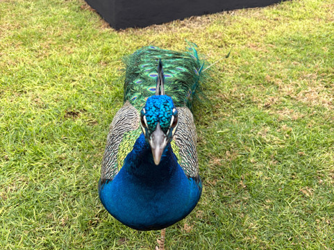 Le Paradis du Safran-Ourika必去景点