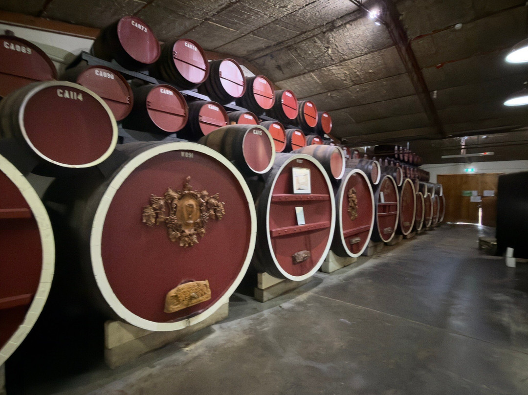 Benders Bus Tours-阿德莱德必去景点