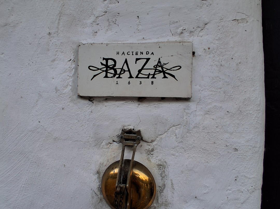 巴扎庄园酒店主图