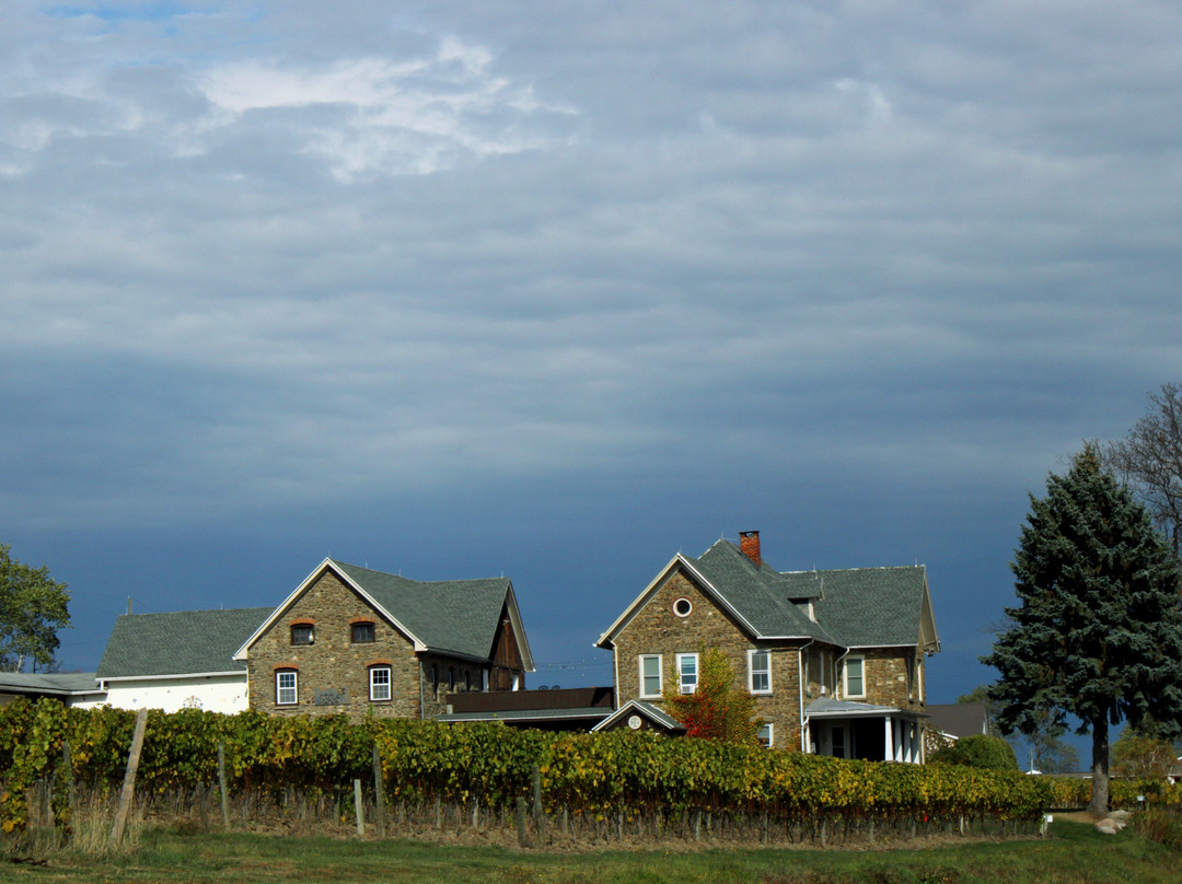 Dr. Konstantin Frank Winery-Hammondsport必去景点