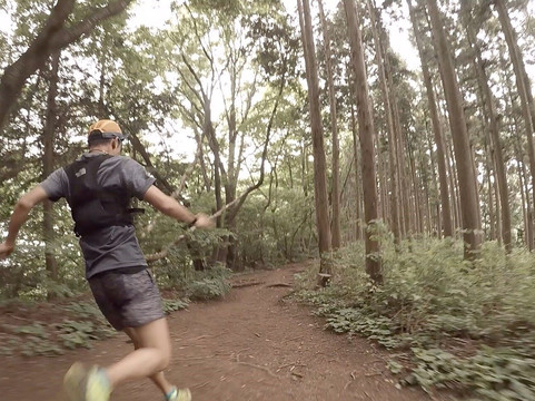 Mt. Takaosan Hiking Course-八王子市必去景点