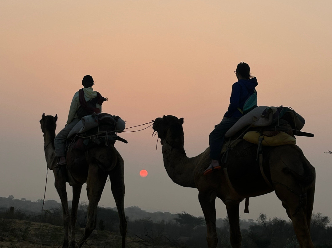 Osian Desert Safari & Overnight Camping-Osian必去景点