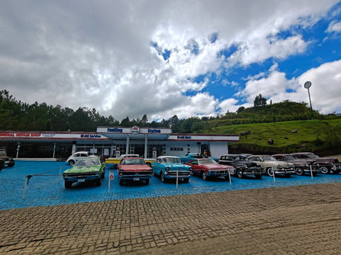 大希莱恩森林公园度假村主图