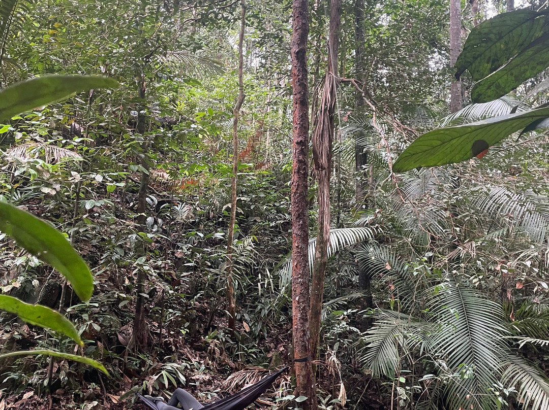 Panbil Nature Reserve-巴淡岛必去景点
