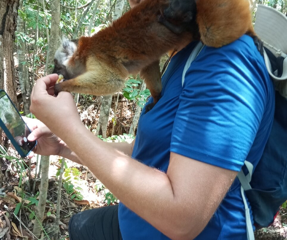 Lokobe Nature Special Reserve-诺西贝必去景点