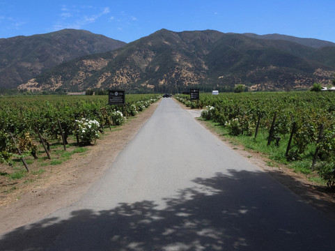 卡萨席尔瓦酒店主图