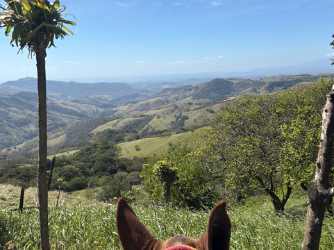 El Indio Waterfall-Santiago de Puriscal必去景点