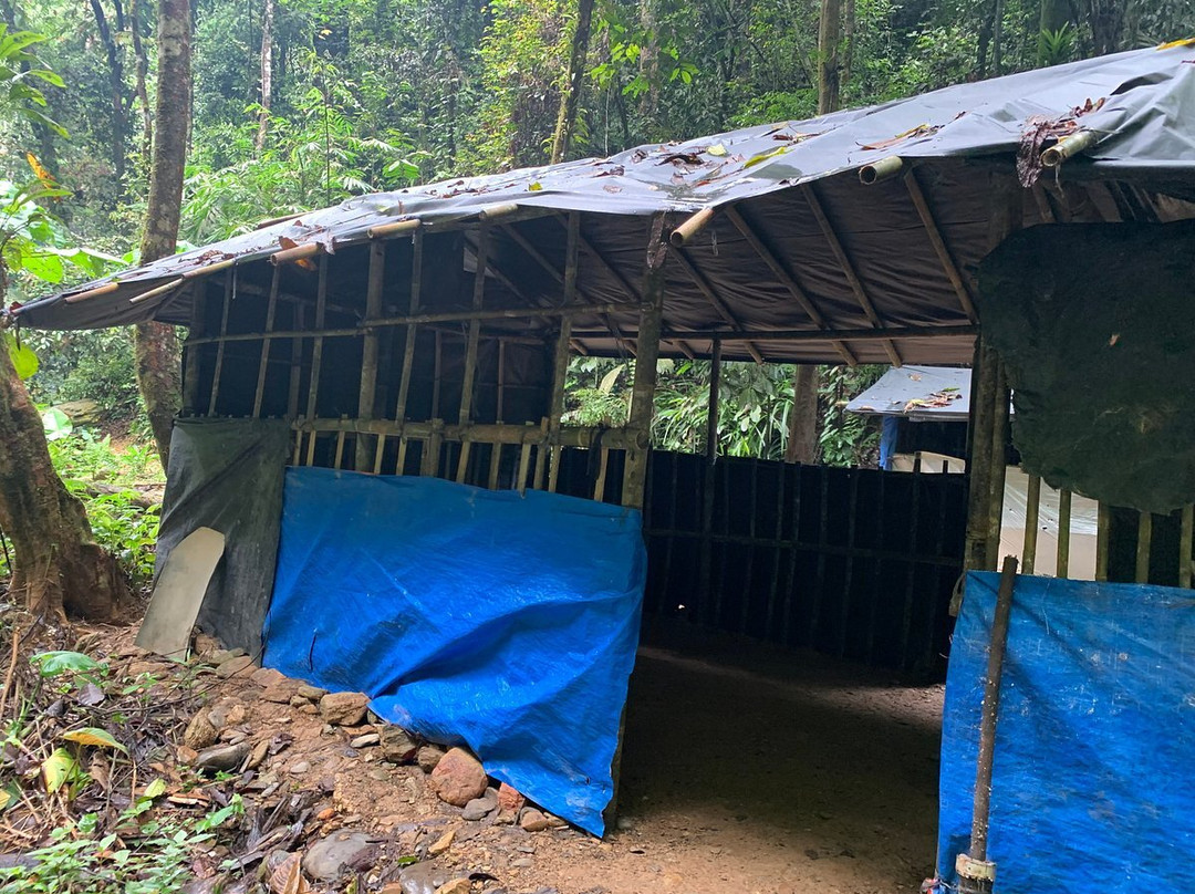 Bukit Lawang Jungle Treks-武吉拉旺必去景点