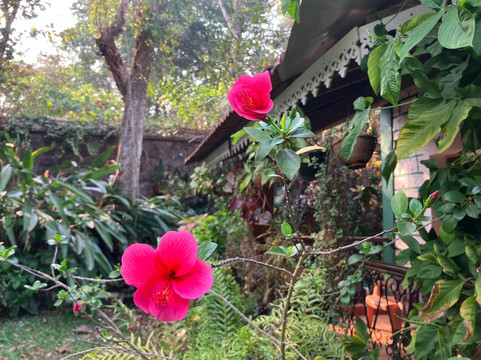 坎西奥宾馆主图