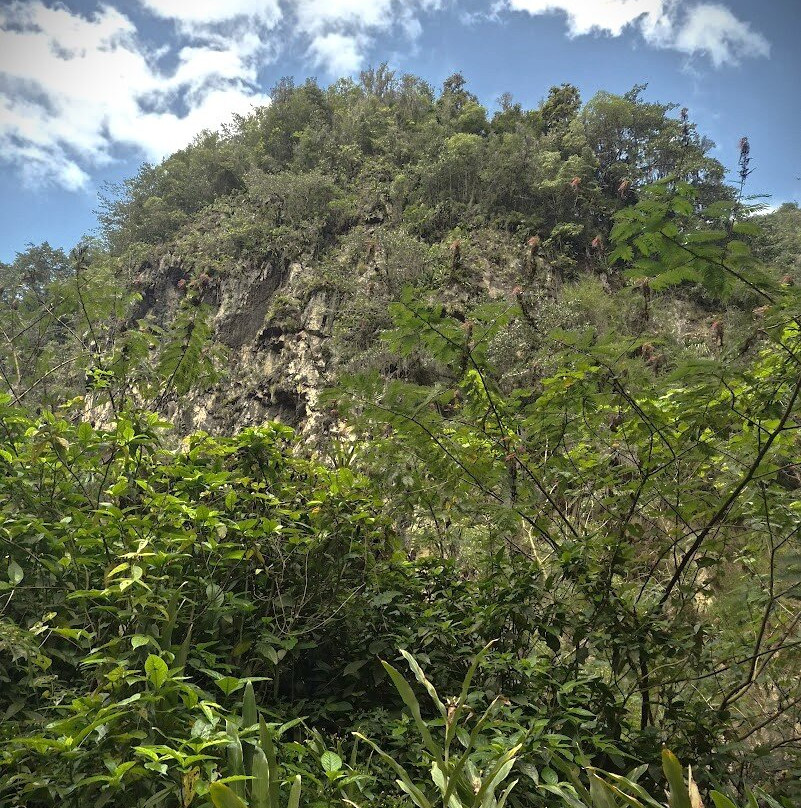 Salto De Jimenoa Uno-Jarabacoa必去景点