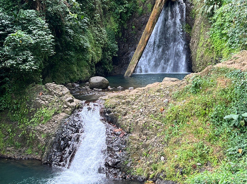 Seven Sisters Waterfalls Grenada-Grand Etang National Park必去景点