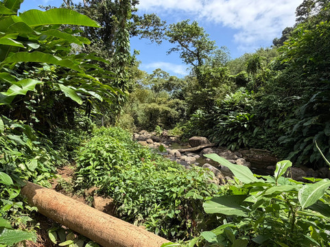 Seven Sisters Waterfalls Grenada-Grand Etang National Park必去景点
