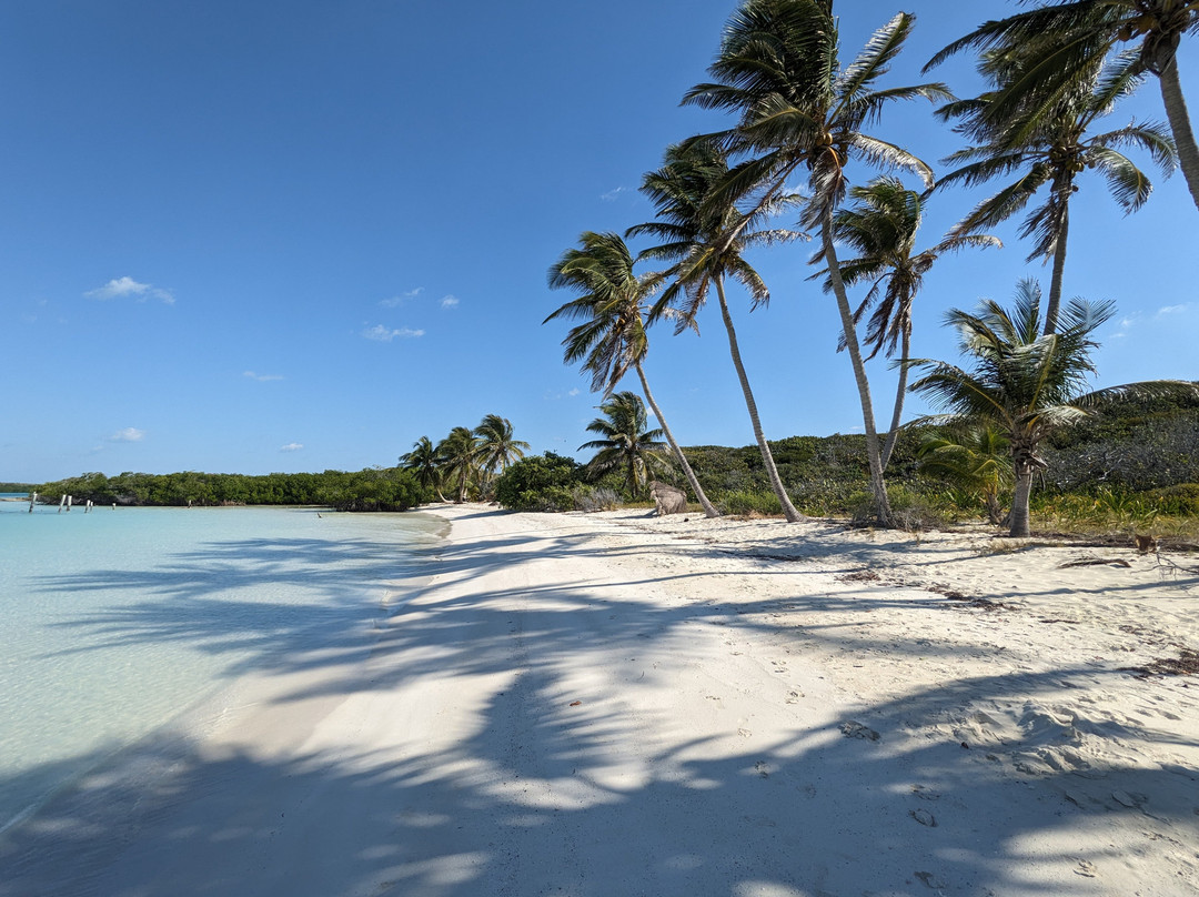 Isla Contoy National Park-Isla Contoy必去景点