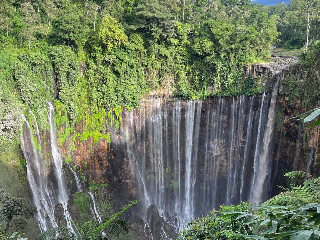 Bromo Tour Java-巴纽旺宣必去景点