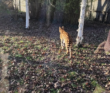 Zoo Amiens Métropole-亚眠必去景点