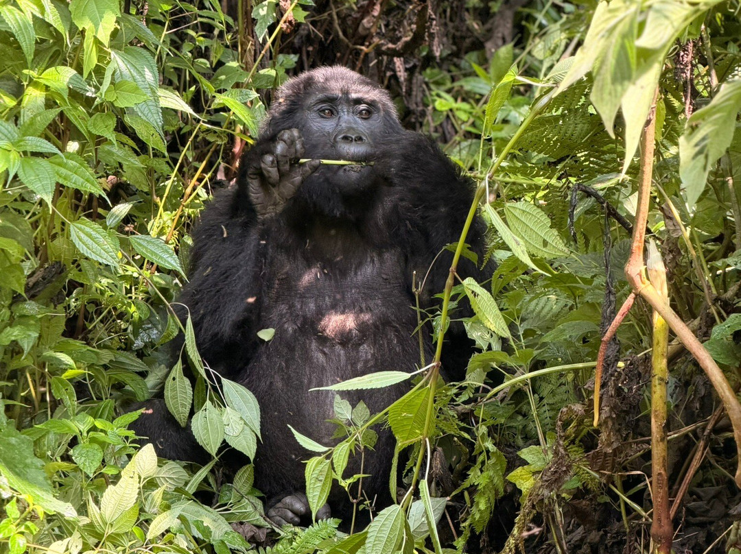 BUGOLI ADVENTURES LIMITED-卡巴莱必去景点