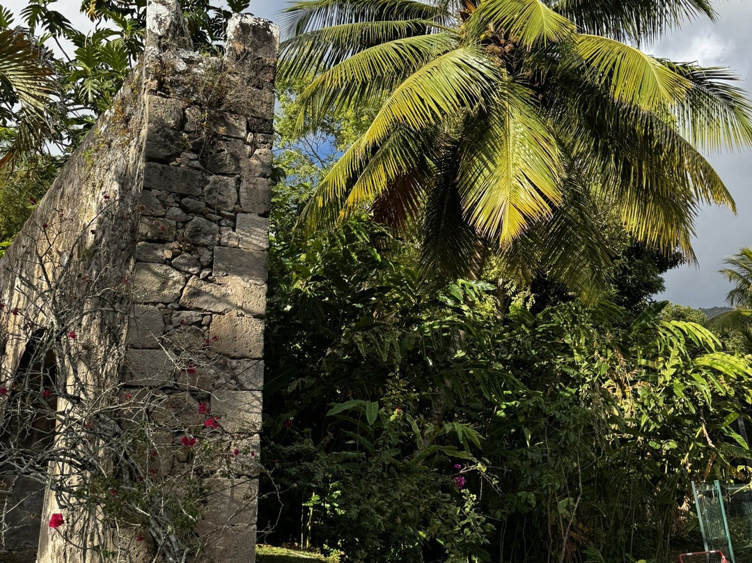 Vanibel-Vieux-Habitants必去景点