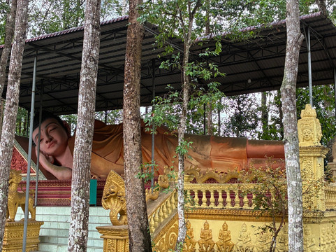 Can Tho Touring with Susan-芹苴必去景点