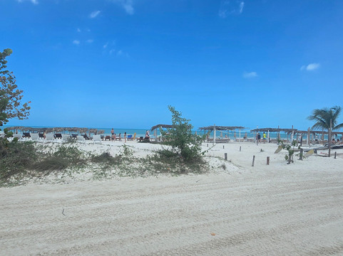 Santi Tour-普拉亚德尔卡曼必去景点