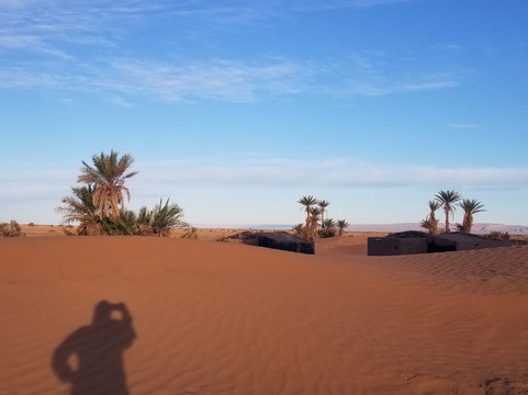 Desert Maroc Tours - Day Tours-扎古拉必去景点