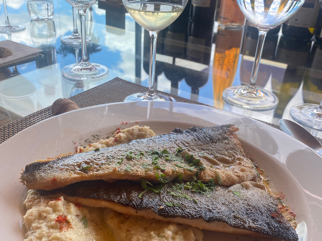 Vinhedos do Monte Agudo-Sao Joaquim必去景点