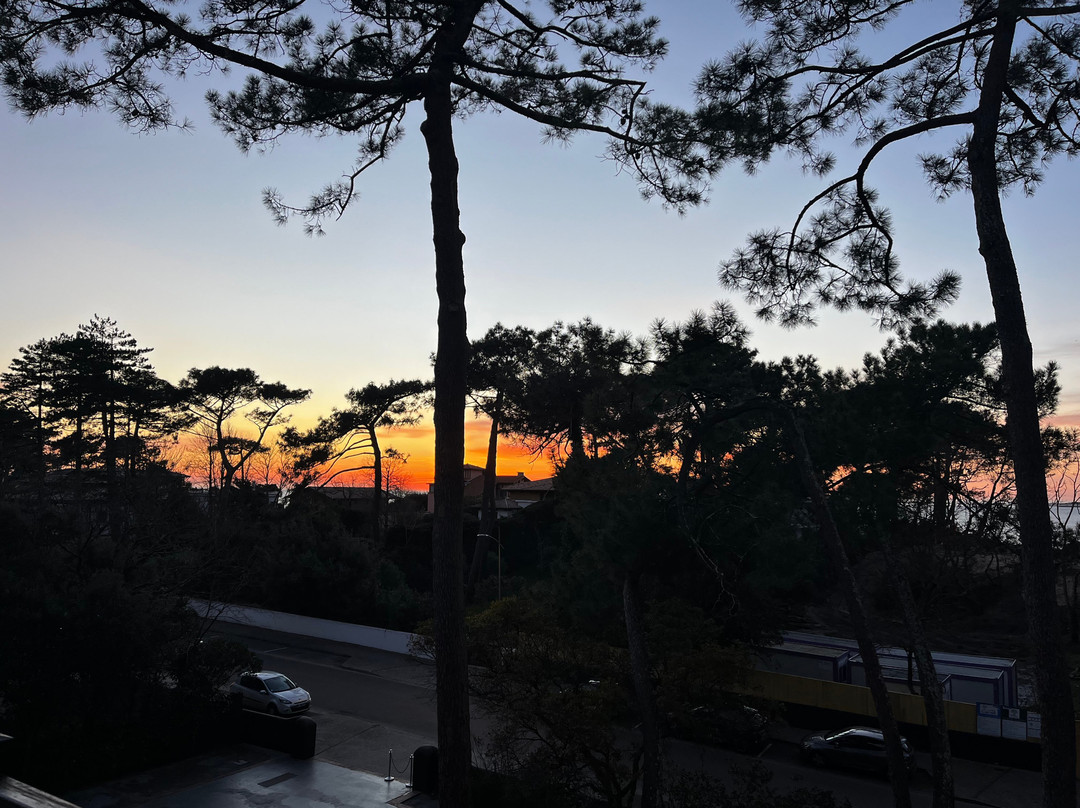 哈伊察酒店Ha(a)ïtza 法国主图