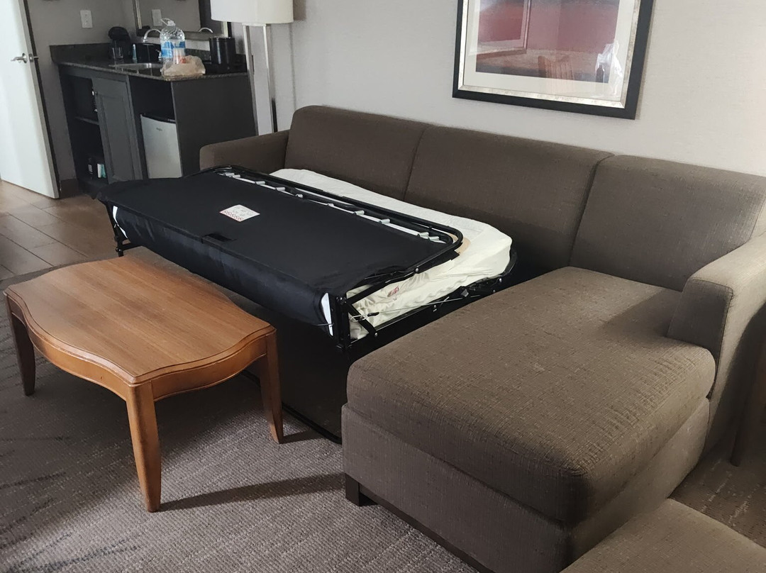 底特律利沃尼诺维希尔顿安泊酒店主图