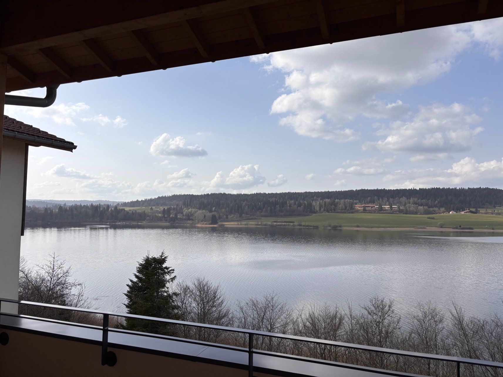 野生海岸温泉酒店-官方