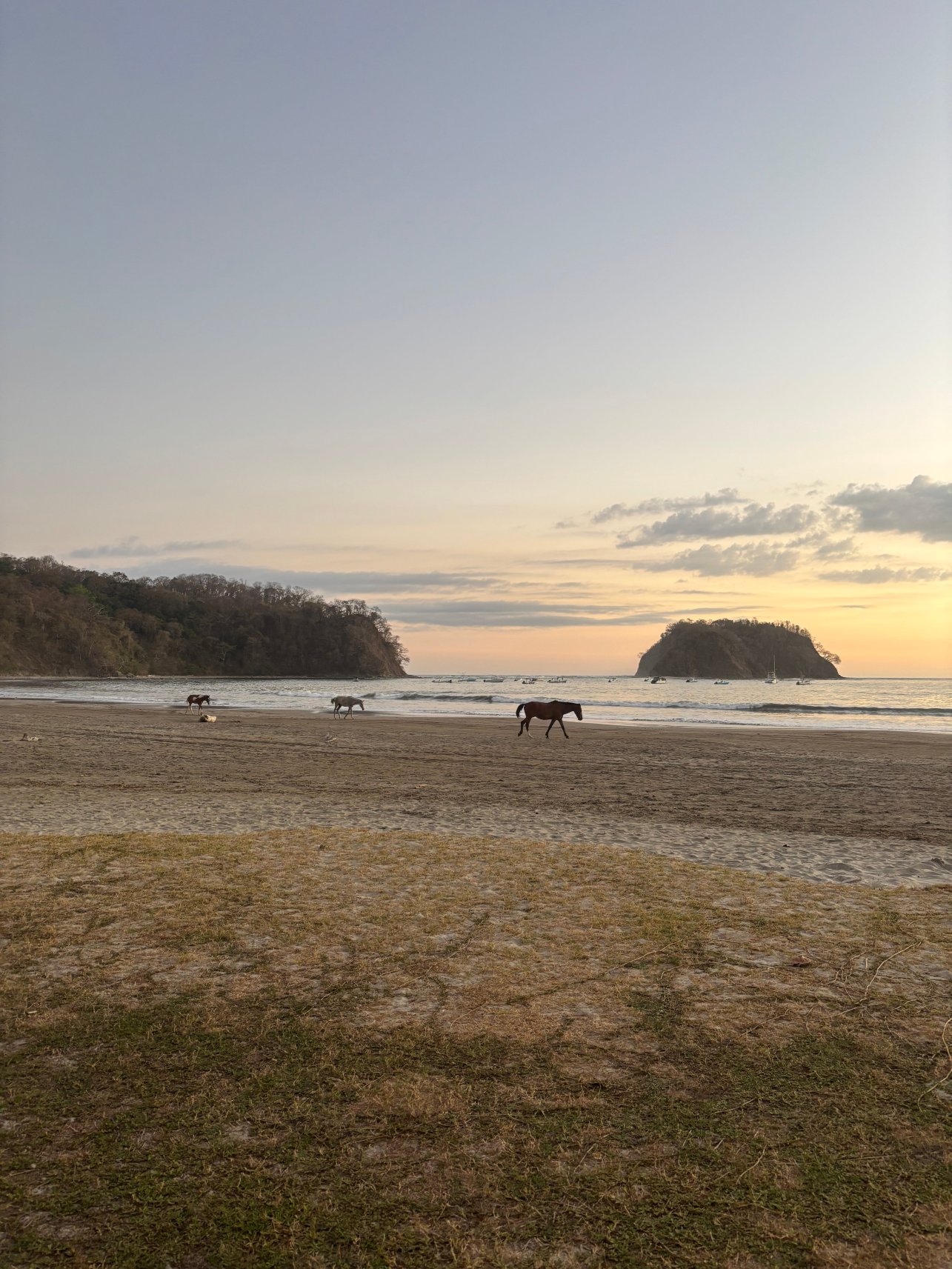 阿苏拉海滩度假村 - 全包式 - 限成人入住-泳池