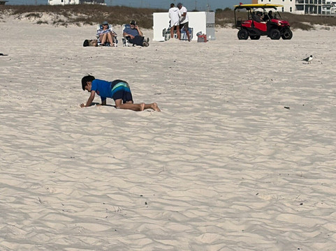 Gulf State Park-格尔夫海岸必去景点