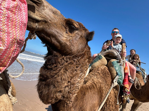 Essaouira Activités-索维拉必去景点