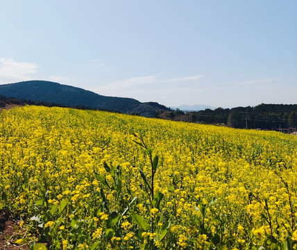 Explore Kumamoto-熊本县必去景点