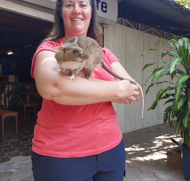 APOPO Visitor Center-暹粒必去景点