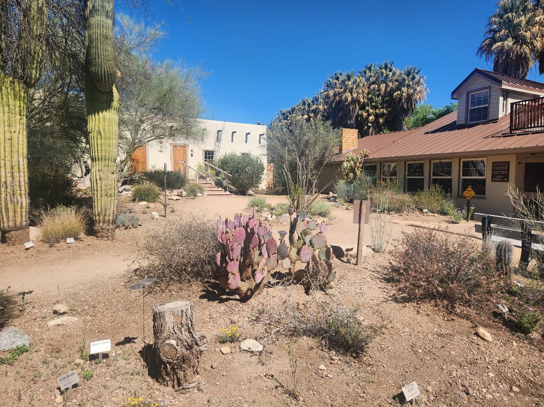 Hassayampa River Preserve-Wickenburg必去景点