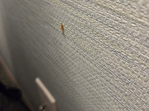 塔拉哈西州议会大厦希尔顿惠庭酒店主图