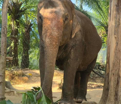 Mon Beau Trip-Falicon必去景点