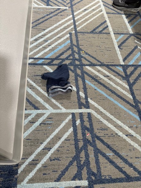 智选假日套房酒店圣奥古斯丁北-官方