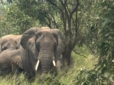 Ikaze Rwanda Tours & Travel-吉佳利必去景点