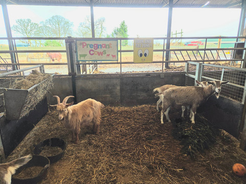 Lower Drayton Farm-Penkridge必去景点