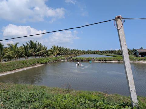 Hoi An Day Trip Company-会安必去景点