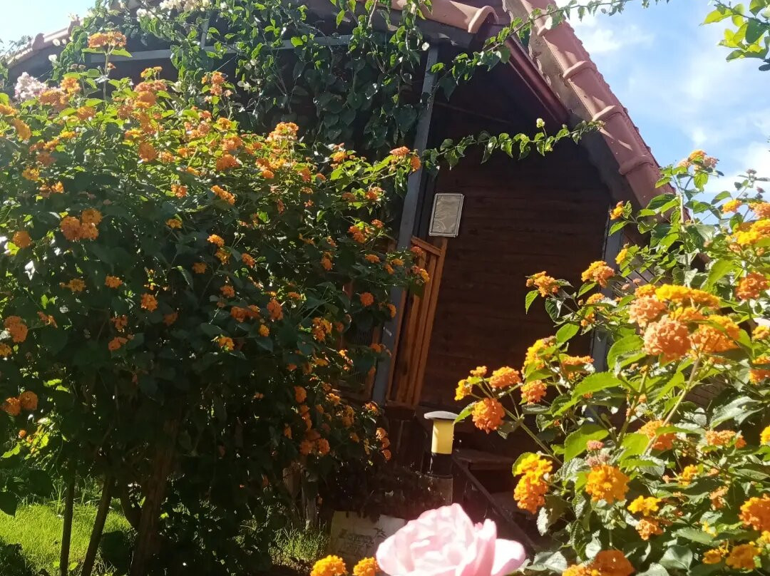 Riviera Bungalow Demre